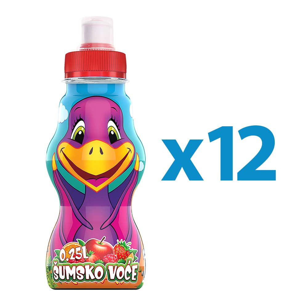 Dinosi Forest fruit (transport package 12x0.25l)